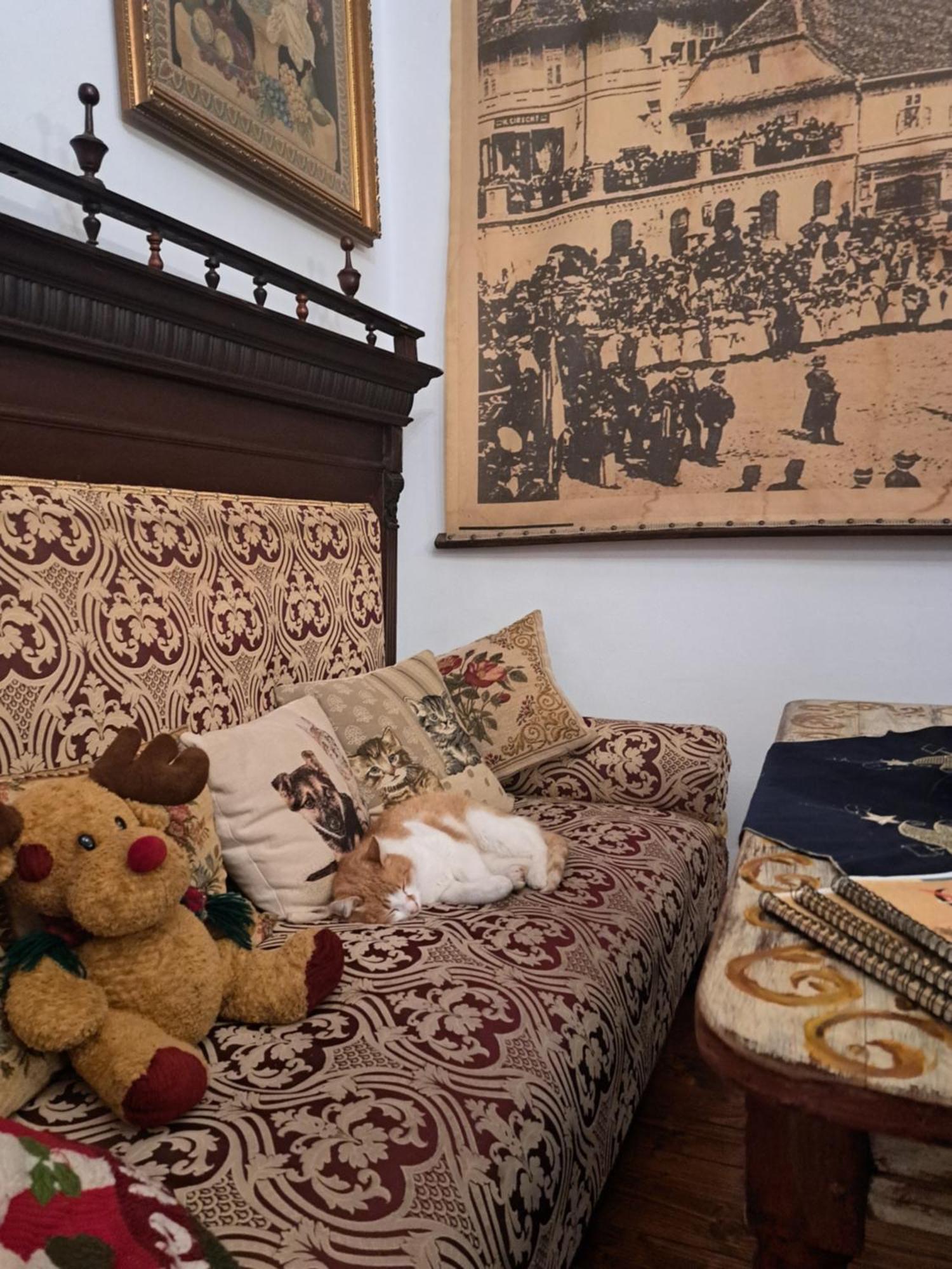 Casa Cositorarului Boutique Pension Sighisoara Luaran gambar